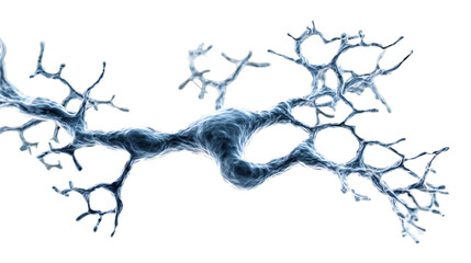 Detailed neural network rendering showcasing intricate neuron structure and connectivity with fine branches, on transparent background