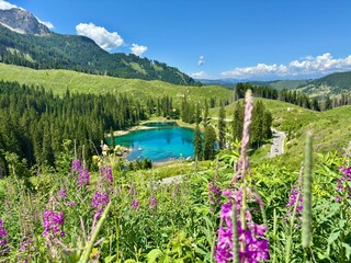lake and mountains