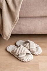 Soft cozy velure sleepers near neutral beige sofa and fleece blanket, cozy and comfortable place to...