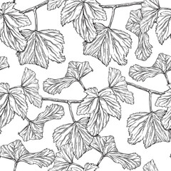 Seamless surface pattern design of garden black currant leaves. Summer print in sketch outline style. Hand drawn botanical background of black ink plants for cosmetics packaging, cards, textile
