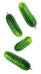 Four fresh green cucumbers falling against a transparent background, ideal for food and beverage projects