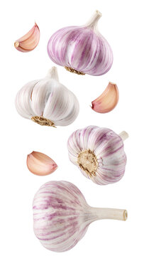 Several garlic bulbs and cloves falling against a transparent background, ready to add flavor to any dish