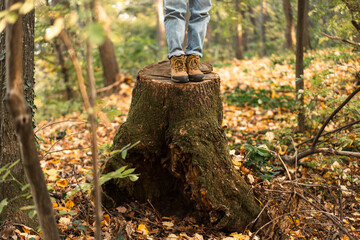 Unrecognizable woman standing in trekking boots on tree stump in autumn forest