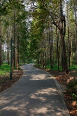 path in the park