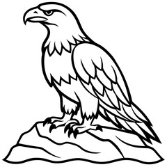 eagle vector illustration
