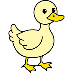 yellow duck isolated on white