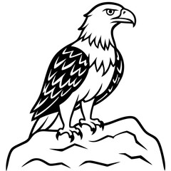 eagle vector illustration