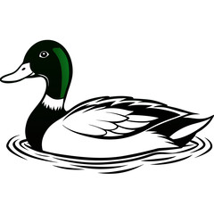 duck isolated on white