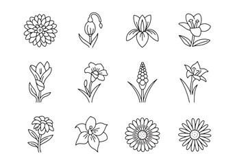 Collection of twelve black and white line art flower illustrations on a white background floral drawing