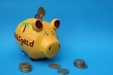 Save money for your vacation. The piggy bank will help you.