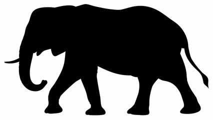 Silhouette of an elephant walking with its trunk curved down and tail hanging to the side in black and white