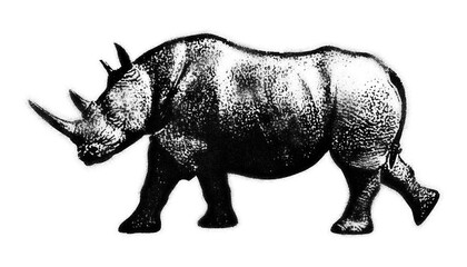 Obraz premium Walking rhinoceros spray paint stencil isolated on transparent background