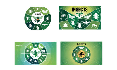 Insects infographic circle chart with different bugs and butterflies illustration for nature science and biology education
