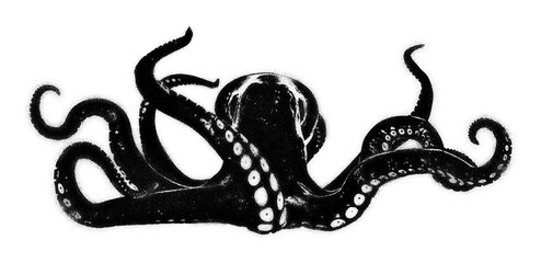 Obraz premium Octopus spray paint stencil isolated on transparent background