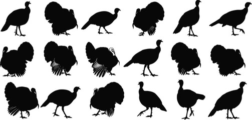 Turkey bird silhouette collection, wild fowl vector illustrations, Thanksgiving animal icons, domestic turkey clipart, poultry bird isolated graphic