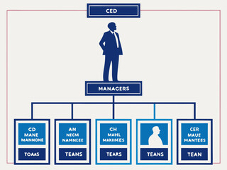 Organizational chart displaying the CEO, managers, and teams in a clear and structured layout