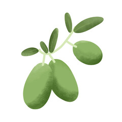 Branche avec trois olives illustré avec des étoiles