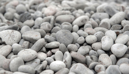 close up on white and gray pebbles on a beach forming a background