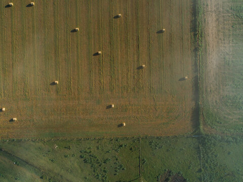 Top down overhead aerial view of round hay bales in farm paddock