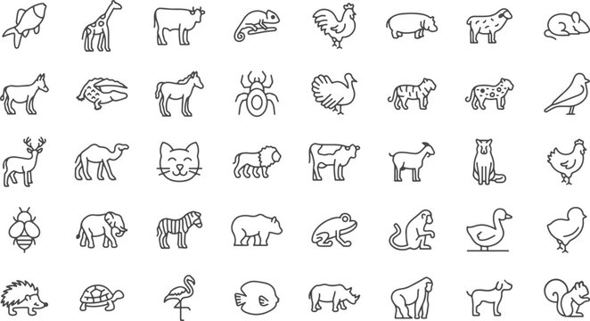 Animal Farm Line Icons &ndash; Cow, Goat, Pig, Hen, Rabbit, Sheep, Chicken, Duck, Horse, Turkey, Farm Animal, Livestock, Petting Zoo, Agriculture, Mammal, Poultry, Animal Silhouette, Ranch