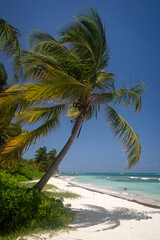 Culebra, Puerto Rico
