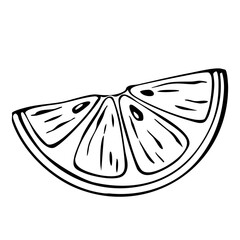 Hand Drawn Lemon Slice Stylized Black And White Illustration. Juicy Tropical Organic Fruit Citrus