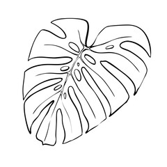 Palm Leaf line art tropical leaves exotic palm Monstera leaf and banana leaf. Botanical plant Jungle tropic hand drawn sketch print.
