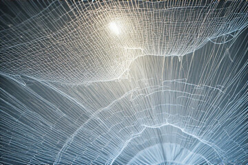 Intricate Web Structure with Soft Light Illumination.
