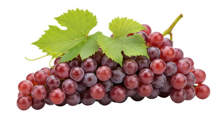 Obraz premium Isolated Red Grapes with Leaf, Bunch of Grapes