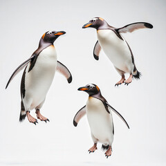 Obraz premium Penguin trio, Three Gentoo Penguins in Flight: A captivating photo of three elegant gentoo penguins, caught mid-flight, their bodies gracefully suspended against an invisible backdrop.
