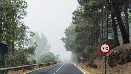 Road through a green forest on Tenerife. El Teide National Park, Canary Islands, Tenerife, Spain.