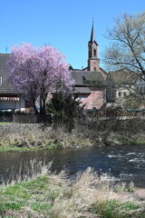 Obersinn