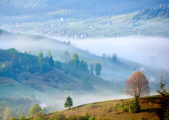 Misty morning in picturesque valley. Rolling green hills dotted with scattered houses and trees,...