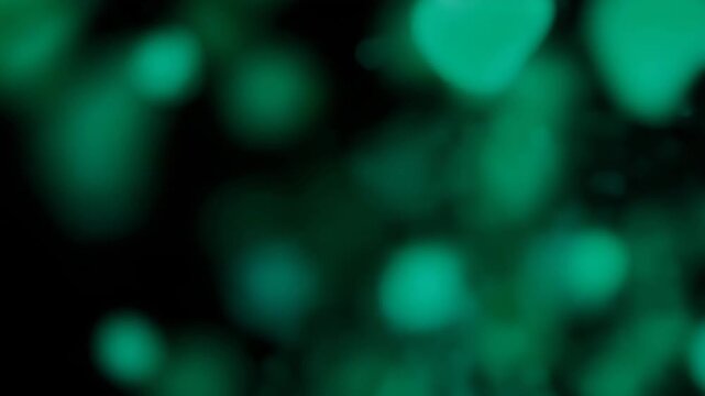 Microscopic view of chloroplasts and photosynthesis particles