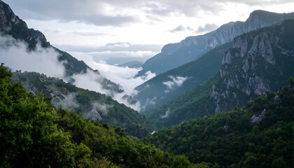 Naklejka premium Misty mountain valley, lush greenery, dramatic peaks