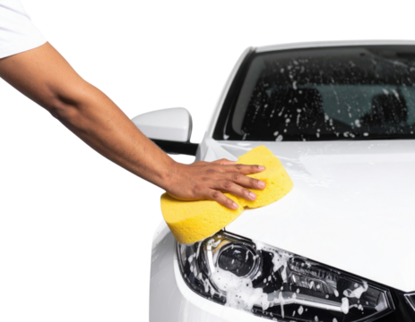 A person washing the front hood and headlight of a white car using a yellow sponge with soap suds on it.