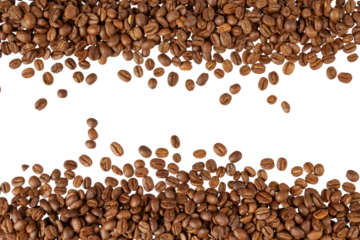 frame border of roasted coffee beans isolated on white or transparent png