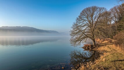 Obraz premium Mist enveloping the edge of a lake