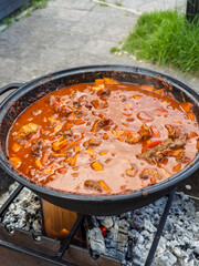 Communal outdoor feast featuring robust stew of meat and peppers slow cooked in heavy pot over charcoal flame