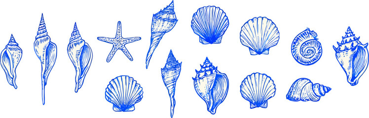 Hand-Drawn Coastal Icons. Summer Beach Elements in Blue Line Art Vector Illustration