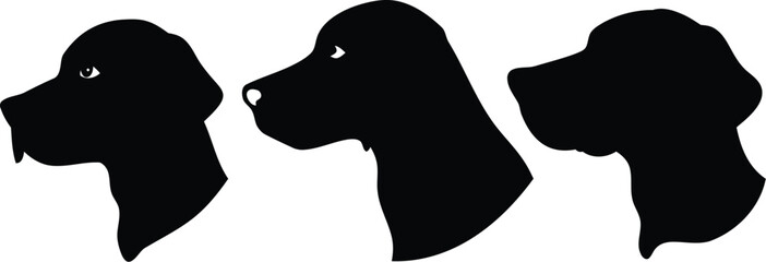 dog head, realistic, black and white illustration, digital art, high detail, precise lines, sharp contrast
