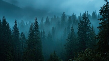 Moody Blue Forest Landscape with Fog and Dense Trees