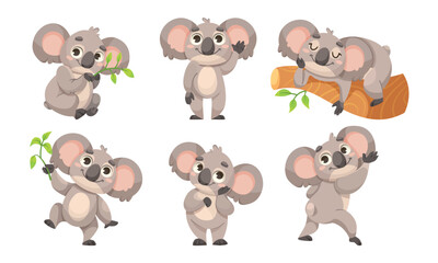 Adorable and Cute Koala Illustrations Featuring a Range of Various Poses and Expressions