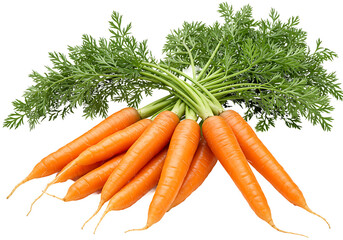Fresh Carrots With Green Tops