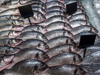 A detailed view of fresh chilled seafood symmetrically arranged in rows at a supermarket counter with empty tags for pricing