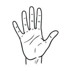 Obraz premium Sketch of an open hand with detailed lines and features on white background