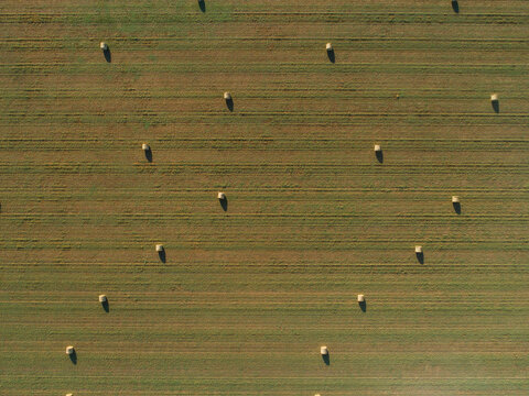 Top down overhead aerial view of round hay bales in farm paddock