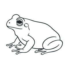 Minimalist frog line drawing on white background