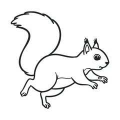 Fototapeta premium Outline drawing of a leaping squirrel in black and white