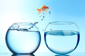 Goldfish jumping out of glass bowl into another one against light blue gradient background
